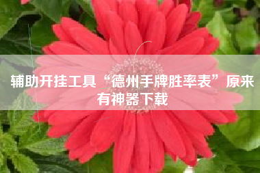 辅助开挂工具“德州手牌胜率表”原来有神器下载