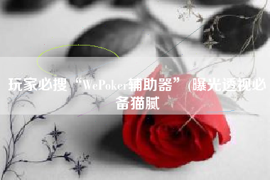 玩家必搜“WePoker辅助器”(曝光透视必备猫腻
