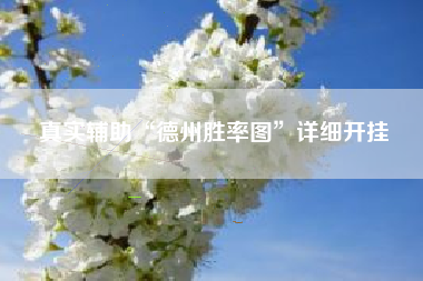 真实辅助“德州胜率图”详细开挂