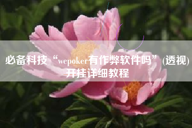 必备科技“wepoker有作弊软件吗”(透视)开挂详细教程