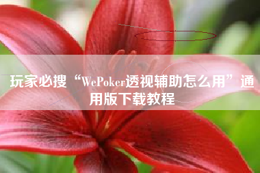 玩家必搜“WePoker透视辅助怎么用”通用版下载教程