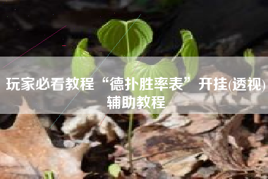 玩家必看教程“德扑胜率表”开挂(透视)辅助教程