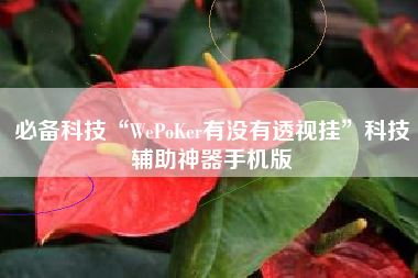 必备科技“WePoKer有没有透视挂”科技辅助神器手机版