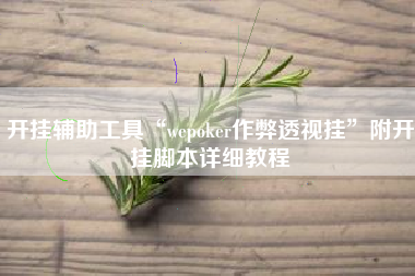 开挂辅助工具“wepoker作弊透视挂”附开挂脚本详细教程