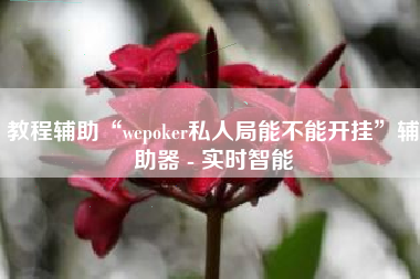 教程辅助“wepoker私人局能不能开挂”辅助器 - 实时智能