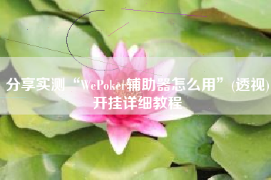 分享实测“WePoker辅助器怎么用”(透视)开挂详细教程