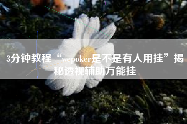 3分钟教程“wepoker是不是有人用挂”揭秘透视辅助万能挂