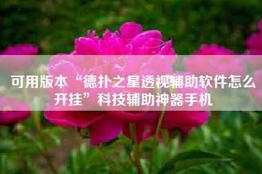 可用版本“德扑之星透视辅助软件怎么开挂”科技辅助神器手机