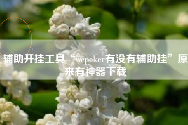 辅助开挂工具“wepoker有没有辅助挂”原来有神器下载