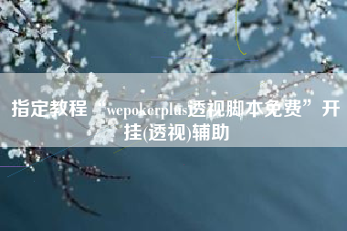 指定教程“wepokerplus透视脚本免费”开挂(透视)辅助