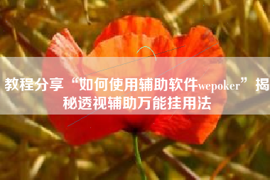 教程分享“如何使用辅助软件wepoker”揭秘透视辅助万能挂用法