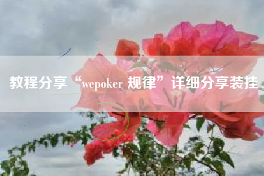 教程分享“wepoker 规律”详细分享装挂