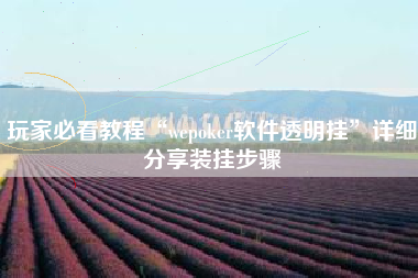 玩家必看教程“wepoker软件透明挂	”详细分享装挂步骤