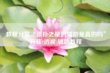 教程分享“德扑之星的辅助是真的吗”开挂(透视)辅助教程