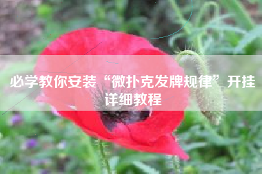 必学教你安装“微扑克发牌规律”开挂详细教程