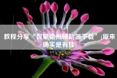 教程分享“智星德州辅助器下载”(原来确实是有挂)