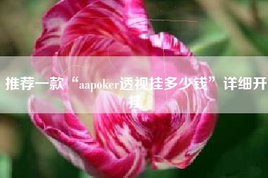 推荐一款“aapoker透视挂多少钱”详细开挂