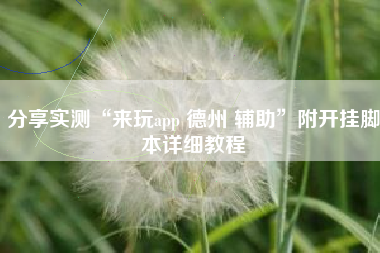 分享实测“来玩app 德州 辅助”附开挂脚本详细教程