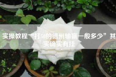 实操教程“打50的德州输赢一般多少	”其实确实有挂