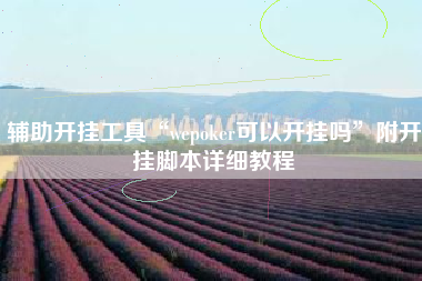 辅助开挂工具“wepoker可以开挂吗	”附开挂脚本详细教程