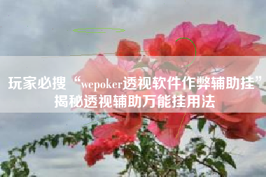 玩家必搜“wepoker透视软件作弊辅助挂”揭秘透视辅助万能挂用法