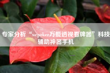 专家分析“wepoker万能透视看牌器”科技辅助神器手机
