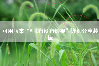 可用版本“Wpk有没有透视”详细分享装挂