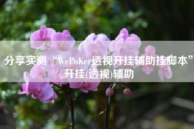 分享实测“WePoKer透视开挂辅助挂脚本”开挂(透视)辅助