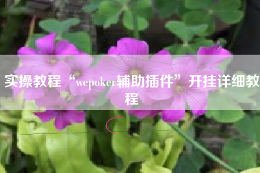 实操教程“wepoker辅助插件”开挂详细教程