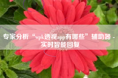 专家分析“wpk透视app有哪些	”辅助器 - 实时智能回复