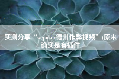 实测分享“wepoker德州作弊视频	”(原来确实是有插件