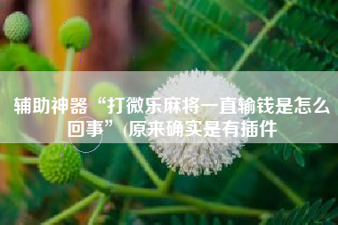 辅助神器“打微乐麻将一直输钱是怎么回事”(原来确实是有插件