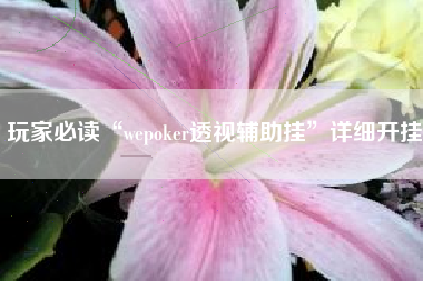 玩家必读“wepoker透视辅助挂”详细开挂
