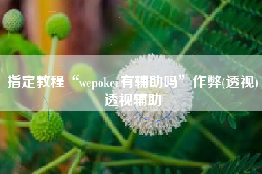 指定教程“wepoker有辅助吗”作弊(透视)透视辅助