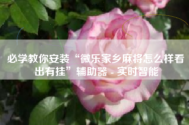 必学教你安装“微乐家乡麻将怎么样看出有挂”辅助器 - 实时智能