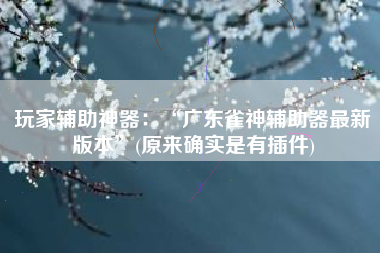 玩家辅助神器：“广东雀神辅助器最新版本”(原来确实是有插件)