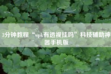 3分钟教程“wpk有透视挂吗”科技辅助神器手机版