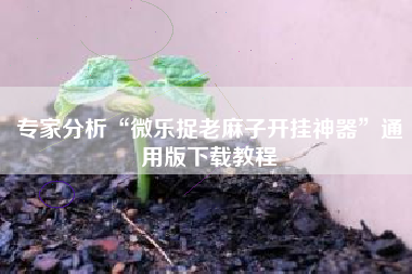 专家分析“微乐捉老麻子开挂神器”通用版下载教程
