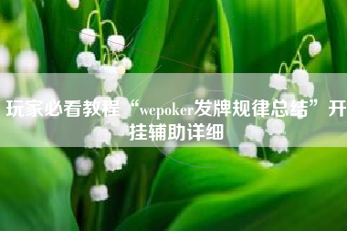 玩家必看教程“wepoker发牌规律总结”开挂辅助详细