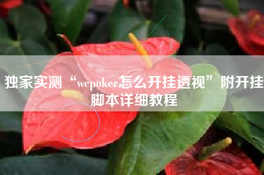 独家实测“wepoker怎么开挂透视”附开挂脚本详细教程