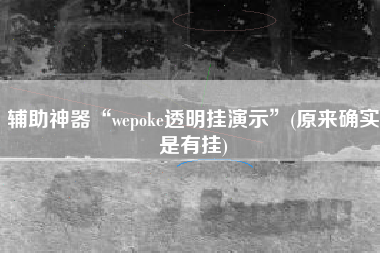 辅助神器“wepoke透明挂演示”(原来确实是有挂)
