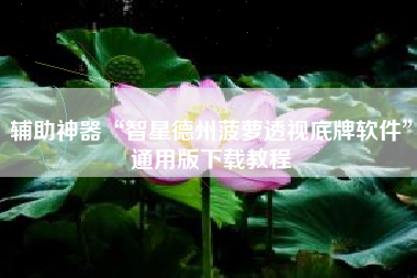 辅助神器“智星德州菠萝透视底牌软件”通用版下载教程