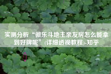 实测分析“微乐斗地主亲友房怎么能拿到好牌呢”(详细透视教程)-知乎