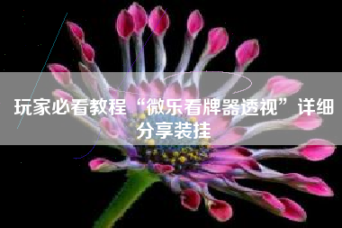 玩家必看教程“微乐看牌器透视”详细分享装挂