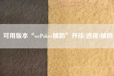 可用版本“wePoker辅助”开挂(透视)辅助
