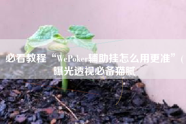 必看教程“WePoker辅助挂怎么用更准”(曝光透视必备猫腻