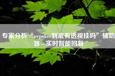 专家分析“wepoker到底有透视挂吗	”辅助器 - 实时智能回复