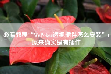 必看教程“WePoker透视插件怎么安装	”(原来确实是有插件
