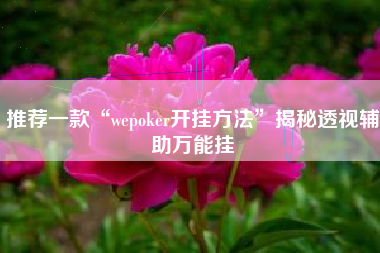 推荐一款“wepoker开挂方法”揭秘透视辅助万能挂