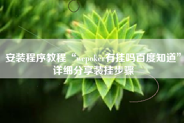 安装程序教程“wepoker有挂吗百度知道”详细分享装挂步骤